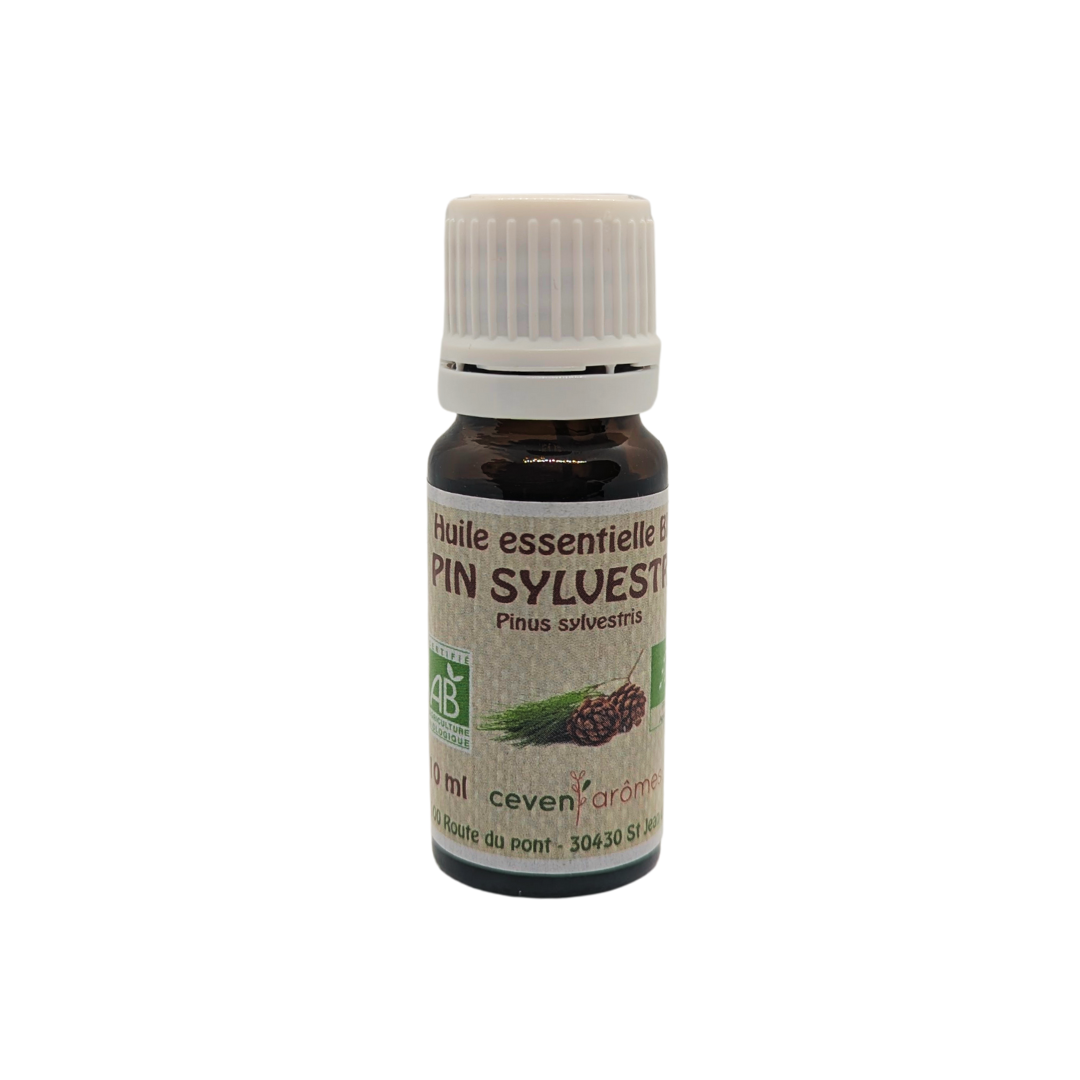 Pin Sylvestre