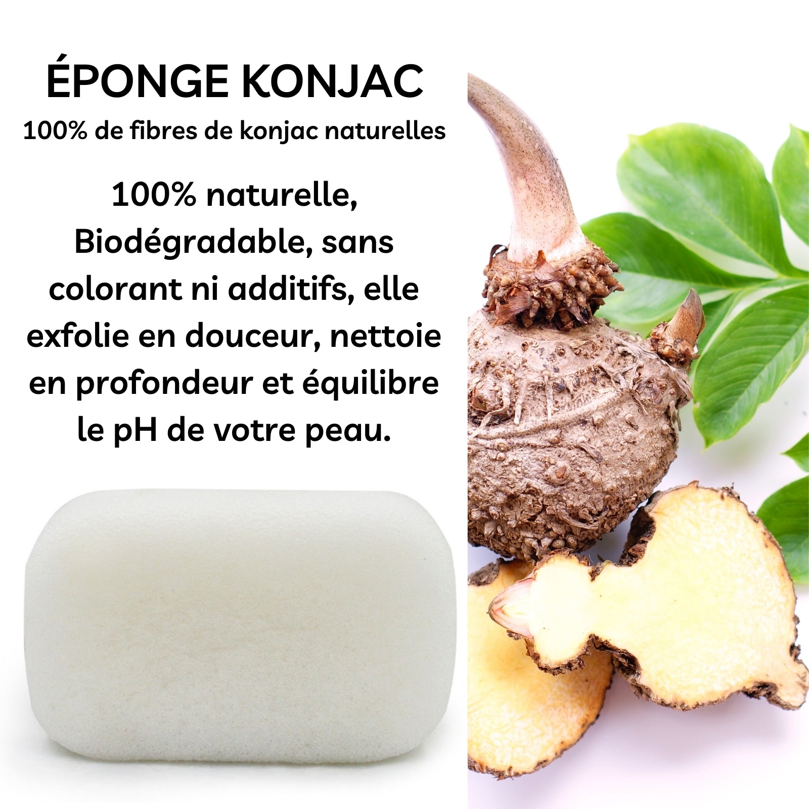 Éponge Konjac Nature Corps – Nettoyage doux et naturel