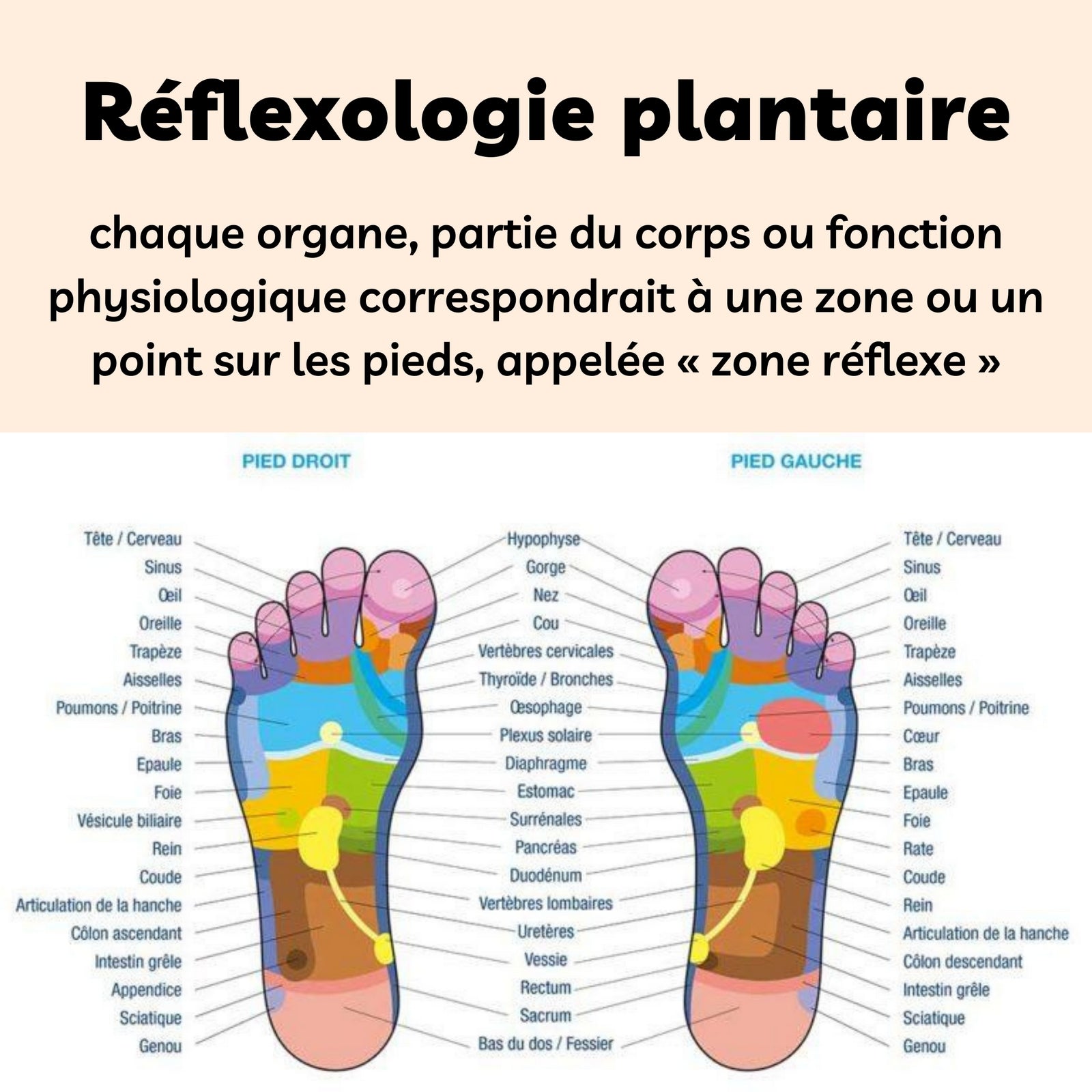 Masseur de pieds en bois – Réflexologie et détente plantaire