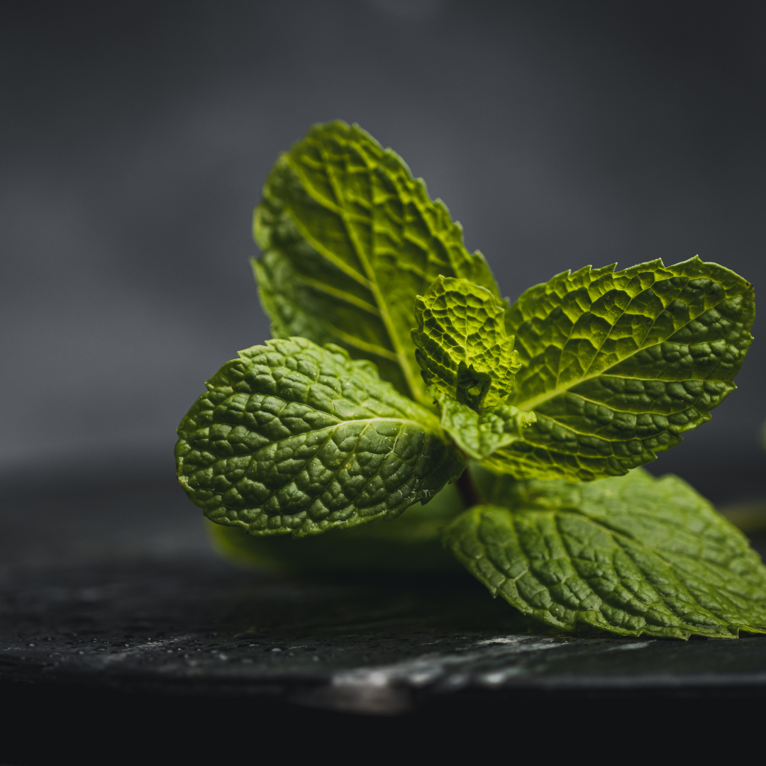 Menthe Poivrée Bio 10ml