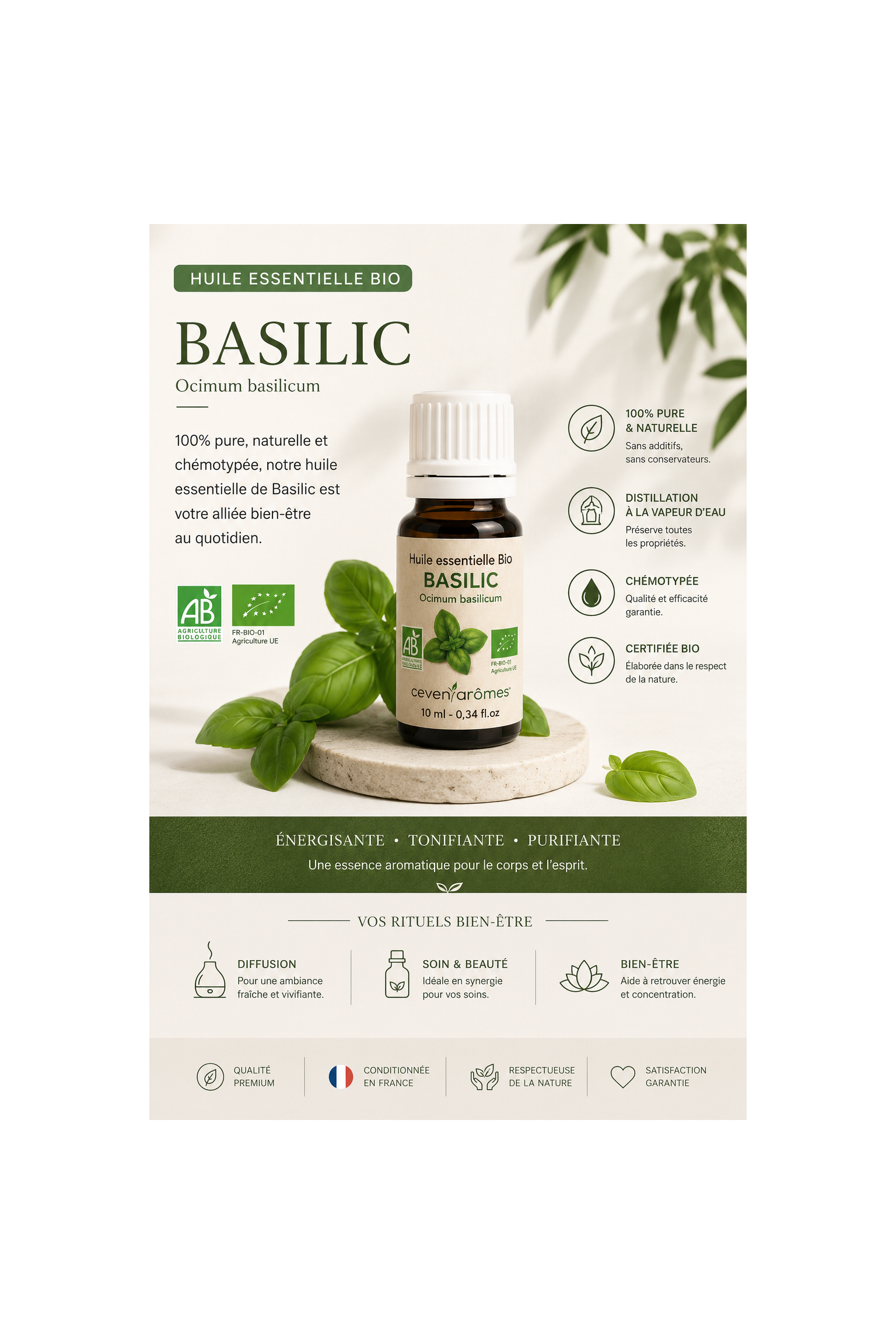 Basilic Tropical Bio 10ml