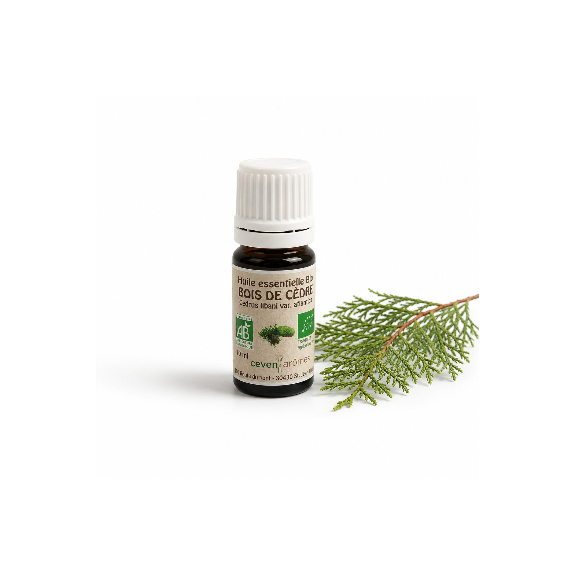 Bois de Cèdre Bio 10ml