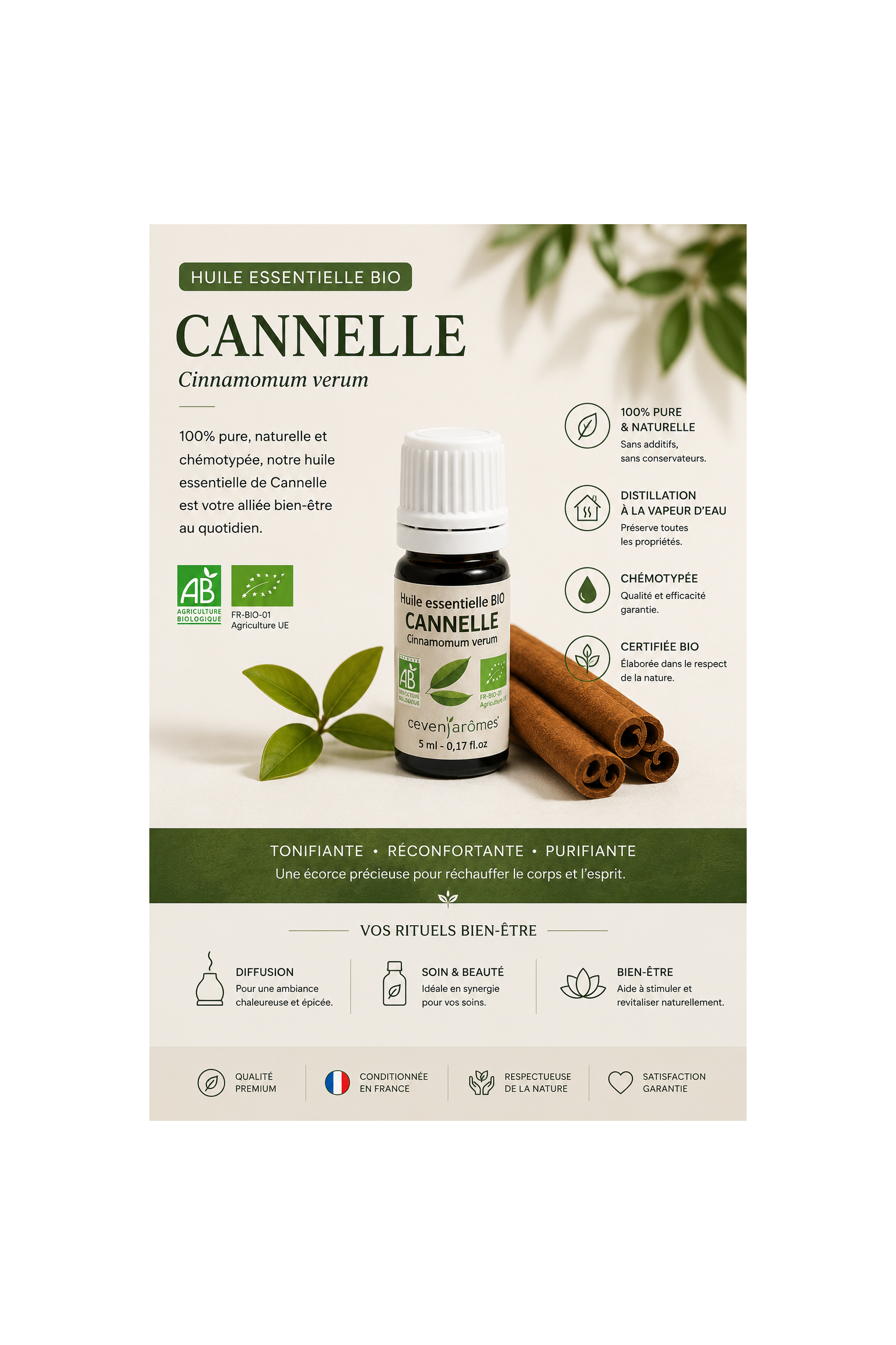 Cannelle de Ceylan Bio 10ml
