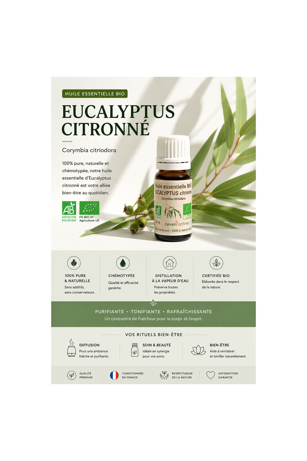 Eucalyptus Citronné Bio 10ml