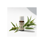 Eucalyptus Citronné Bio 10ml