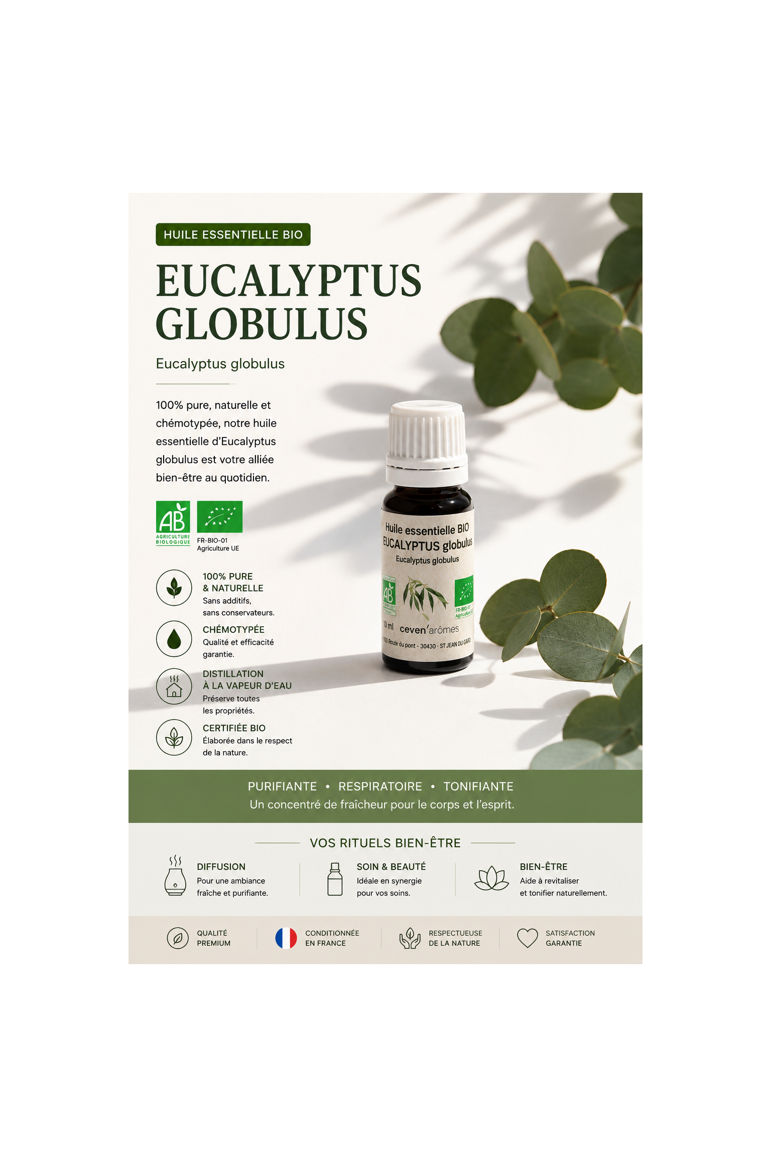 Eucalyptus Globulus Bio 10ml