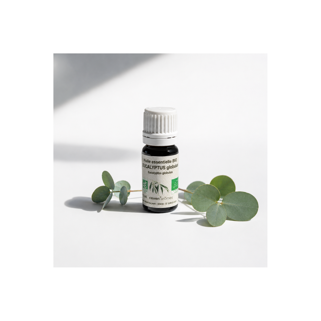 Eucalyptus Globulus Bio 10ml