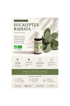Eucalyptus Radiata Bio 10ml