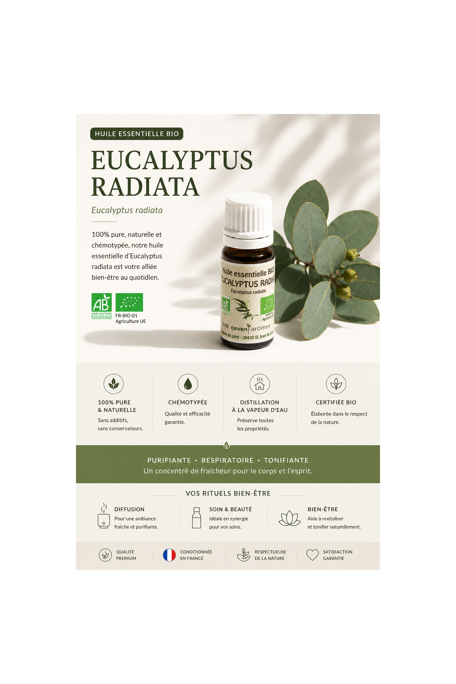 Eucalyptus Radiata Bio 10ml
