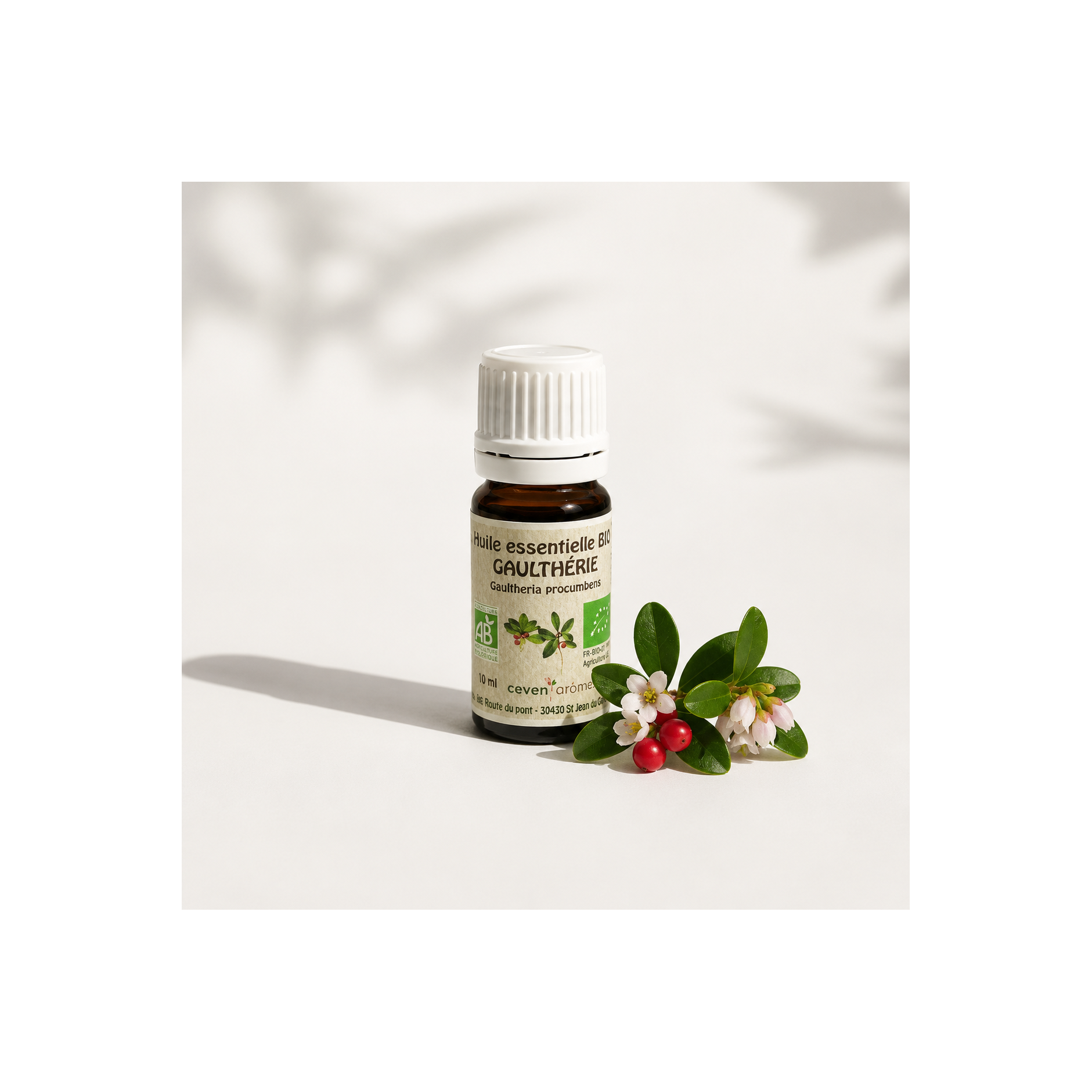 Gaulthérie Bio 10ml