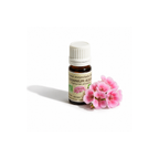 Géranium Rosat Bio 10ml