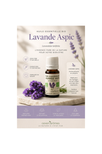 Lavande Aspic Bio 10ml