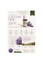 Lavande Bio 10ml