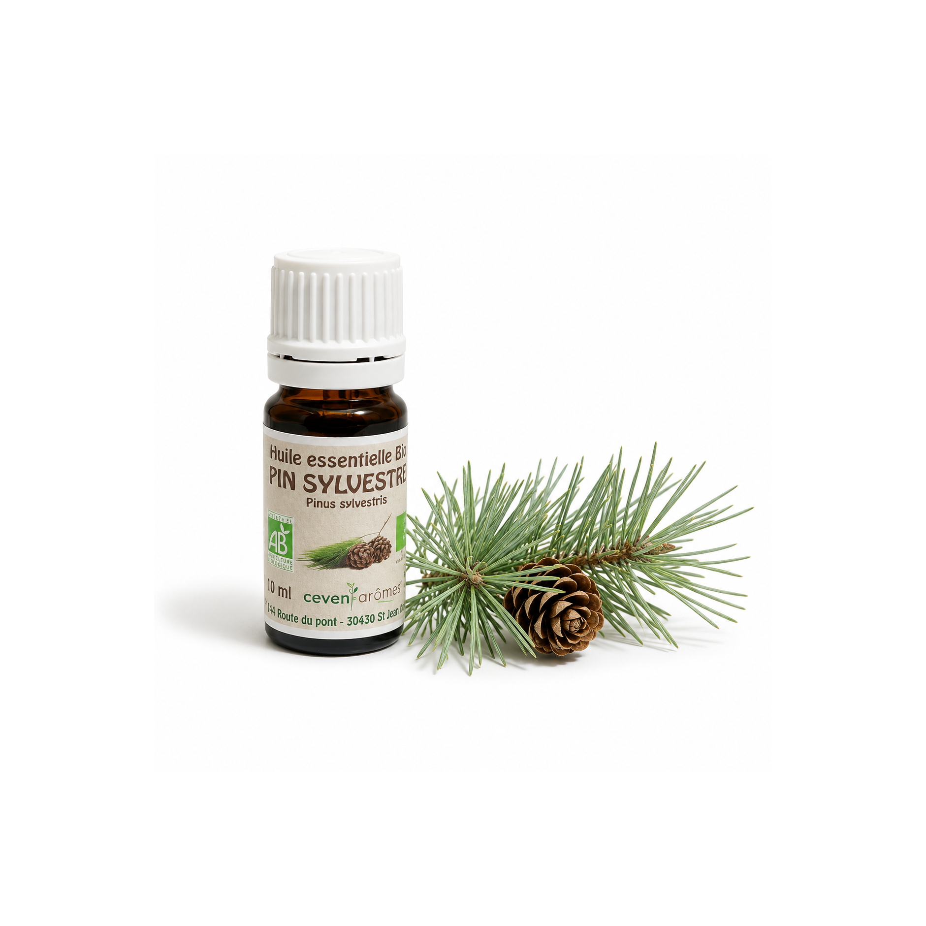Pin Sylvestre Bio 10ml