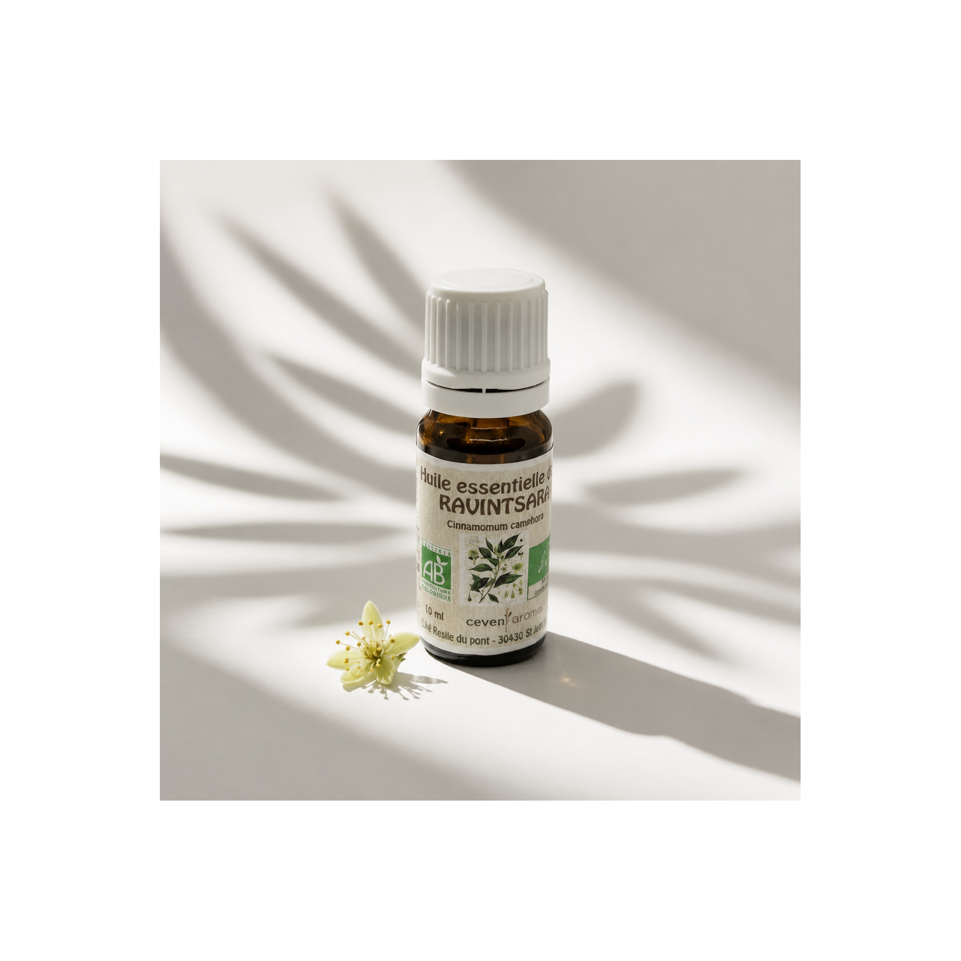 Ravintsara Bio 10ml