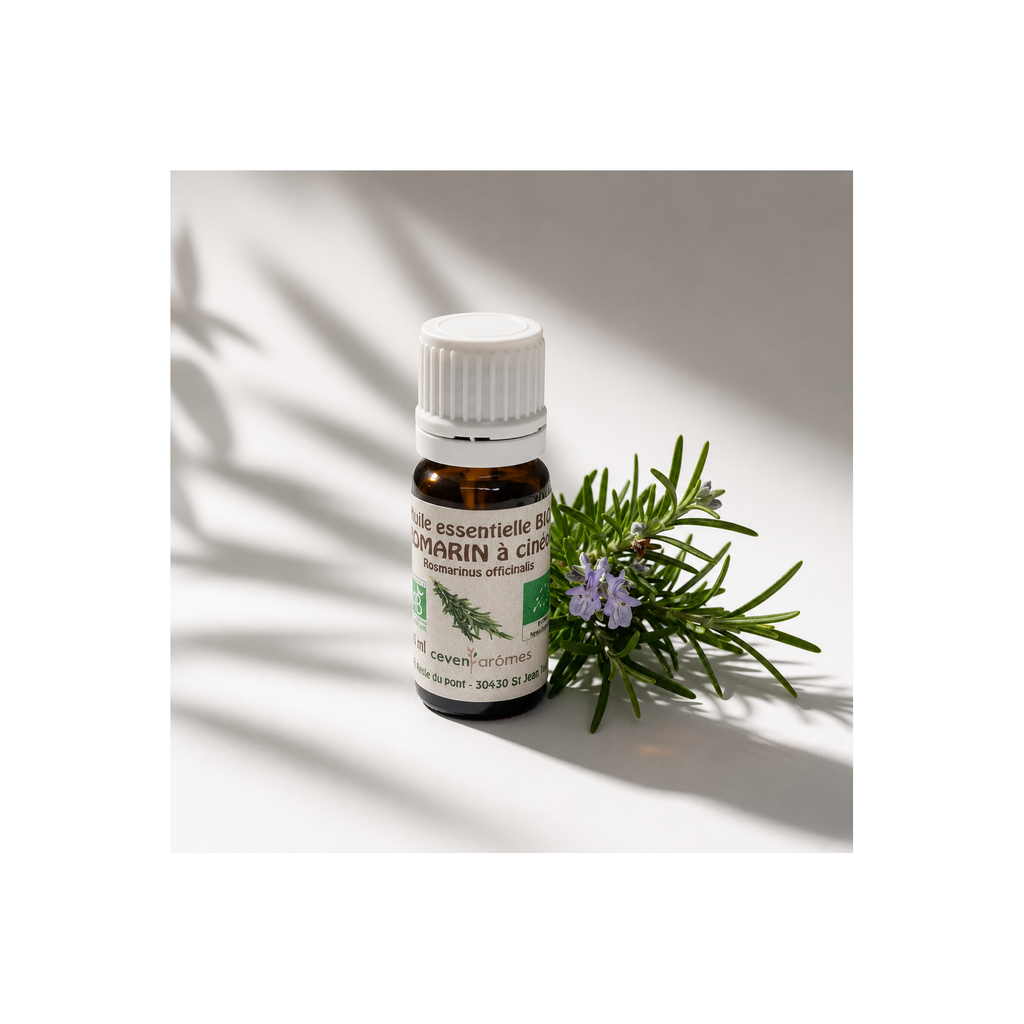 Romarin à Cinéol Bio 10ml