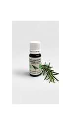 Romarin à Verbénone Bio 10ml