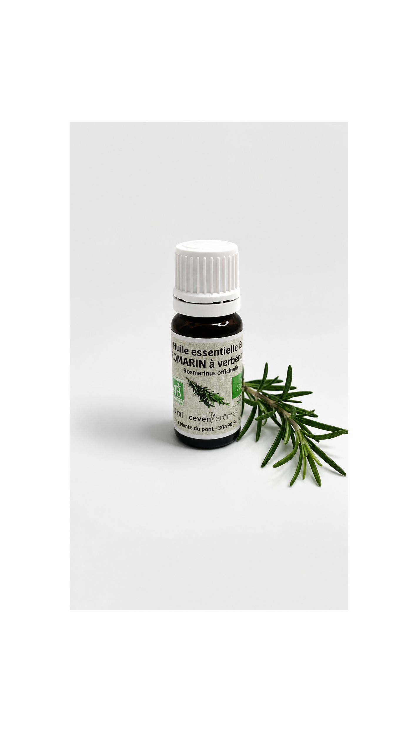 Romarin à Verbénone Bio 10ml