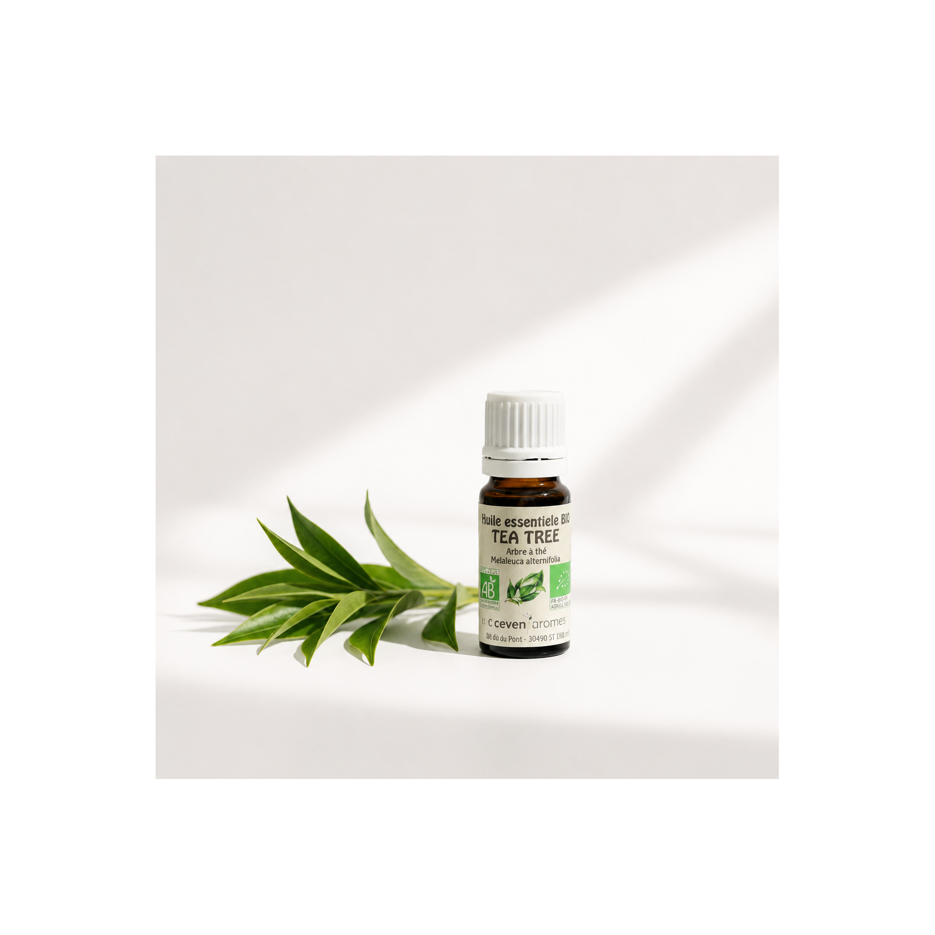 Tea Tree Bio 10ml