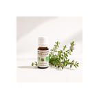 Thym à Linalol Bio 10ml
