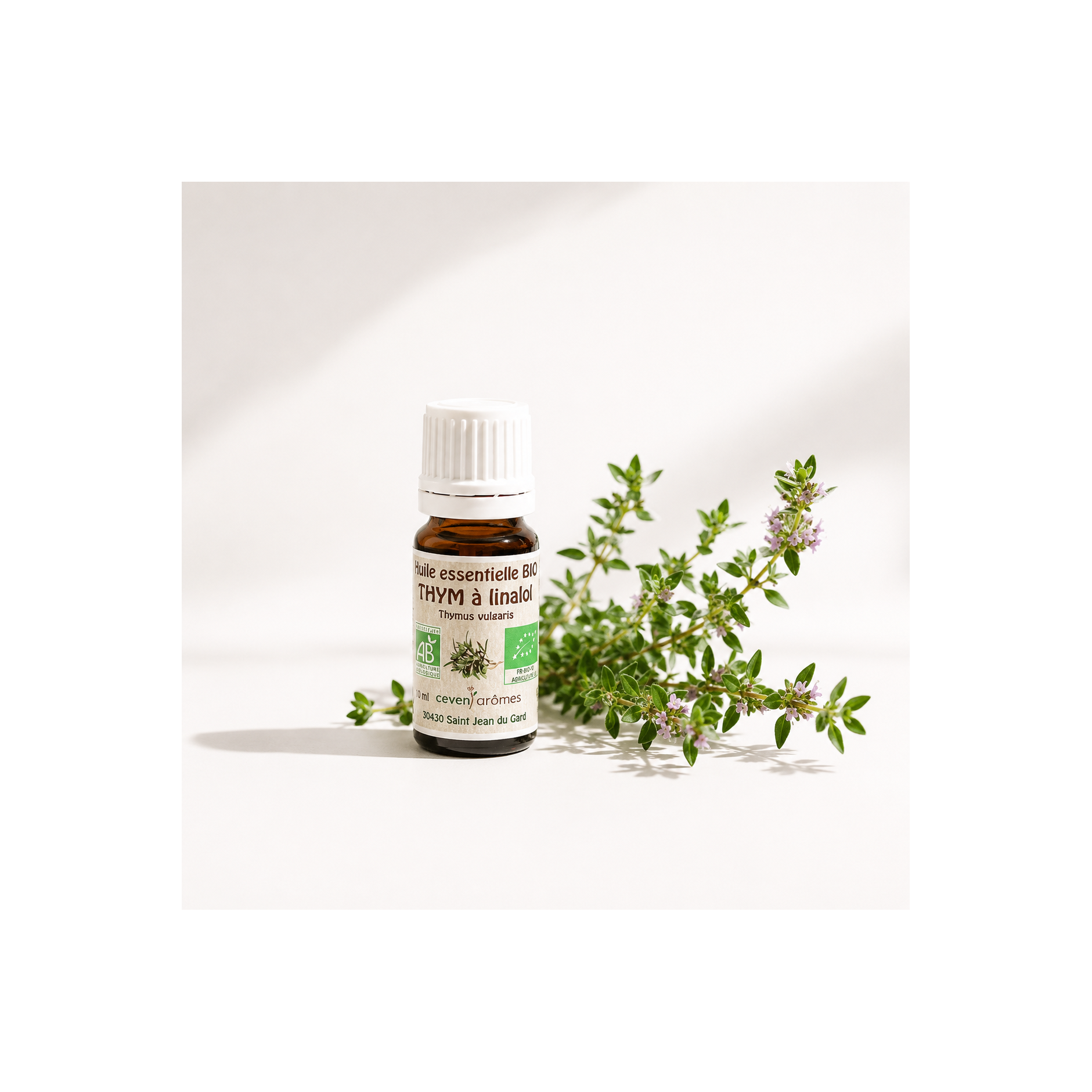 Thym à Linalol Bio 10ml
