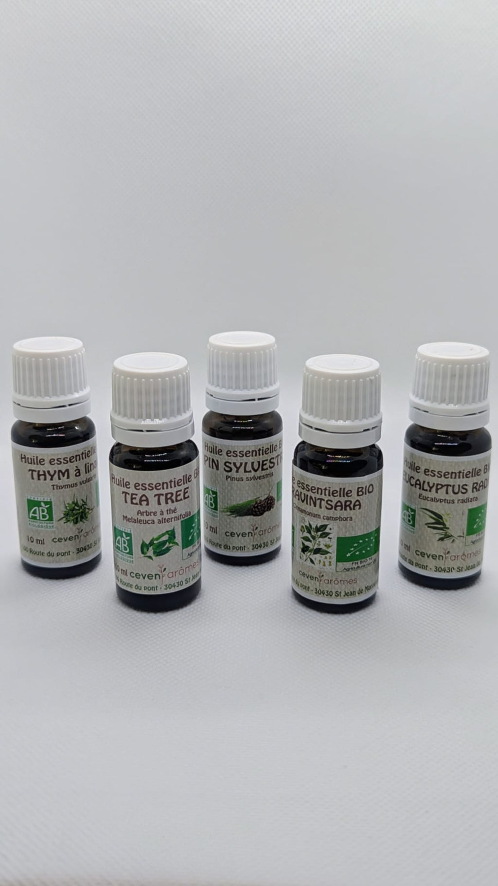 BOUCLIER DE LA FORÊT: Kit Immunité et Protection