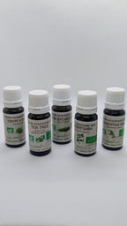 BOUCLIER DE LA FORÊT: Kit Immunité et Protection