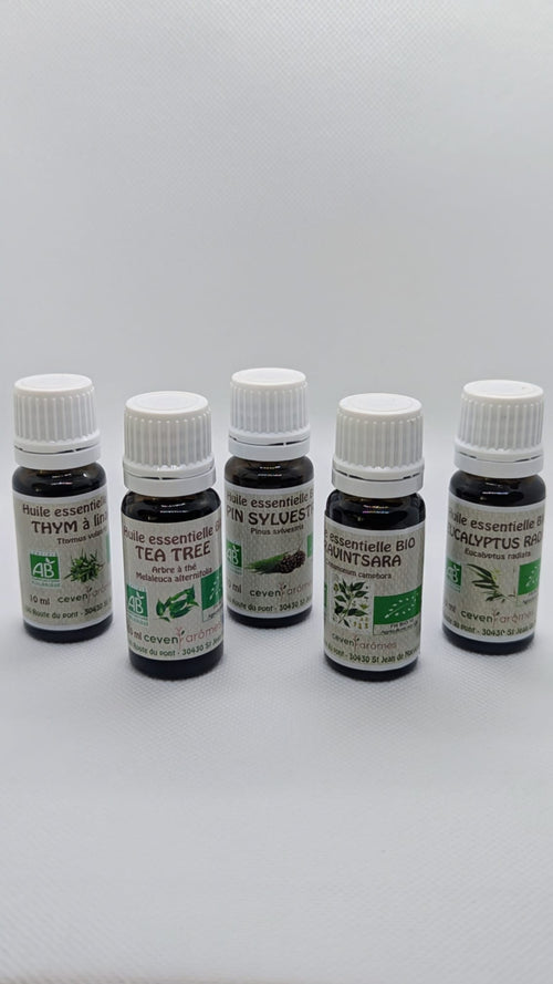 BOUCLIER DE LA FORÊT        Kit Immunité et Protection