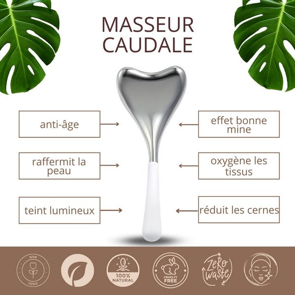 Masseur Caudale Gua Sha Thermothérapie – Visage et cou