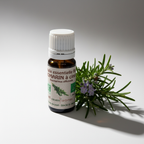 Romarin à Cinéol Bio 10 ml