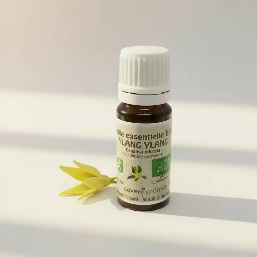 ANCRAGE DOUX | Anxiété, stress et rééquilibrage émotionnel