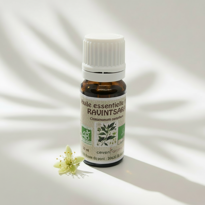 Huile essentielle de Ravintsara bio 10ml Sakinati flacon ambré