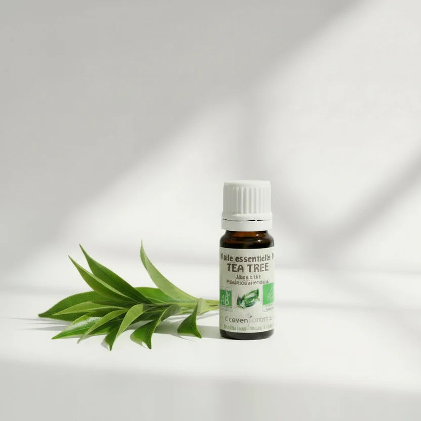 ÉCLAT DE PEAU | Beauté naturelle & soin de la peau au printemps