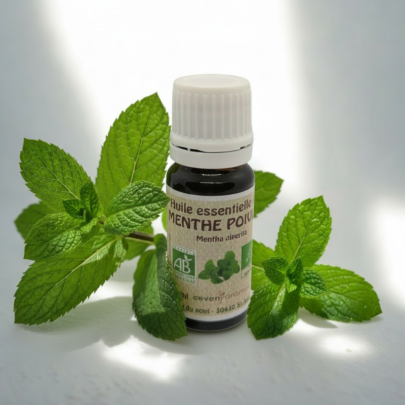 Huile essentielle de Menthe Poivrée bio 10ml Sakinati flacon ambré