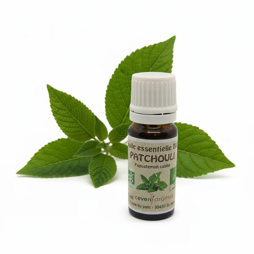 ANCRAGE DOUX | Anxiété, stress et rééquilibrage émotionnel