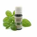 Basilic Tropical Bio 10ml