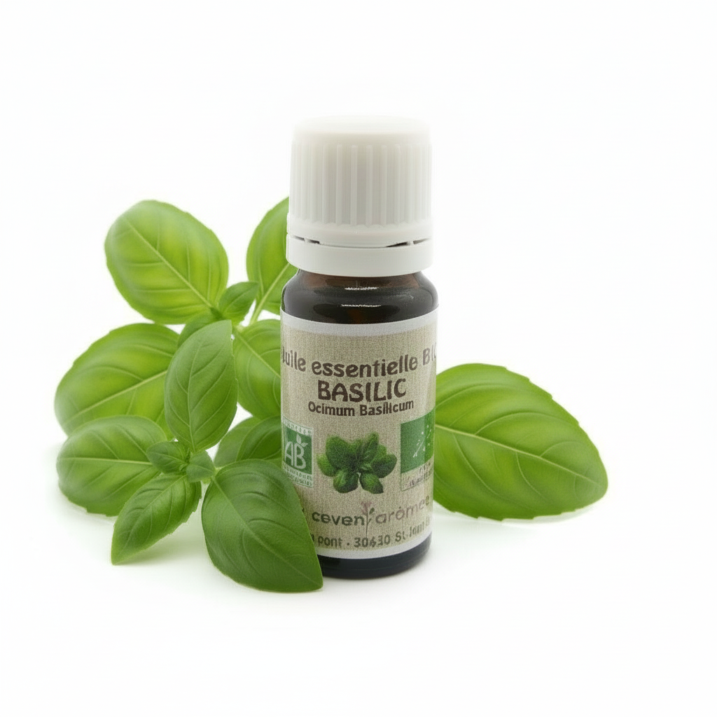 Basilic Tropical Bio 10ml