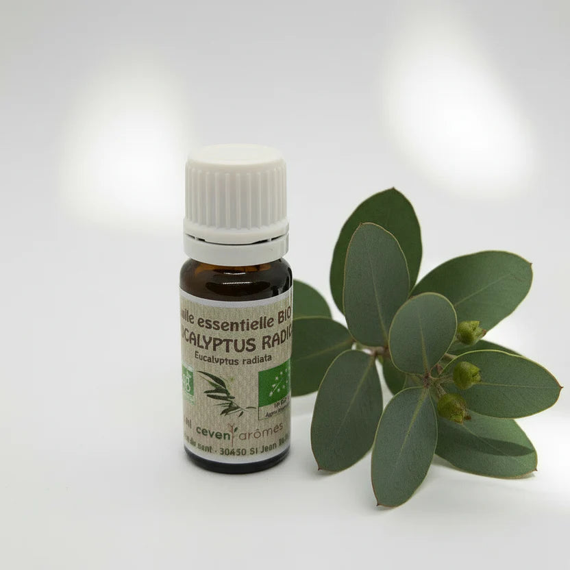SOUFFLE DE FLORE | Allergies saisonnières et confort respiratoire