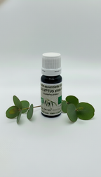 Eucalyptus Globulus Bio 10ml