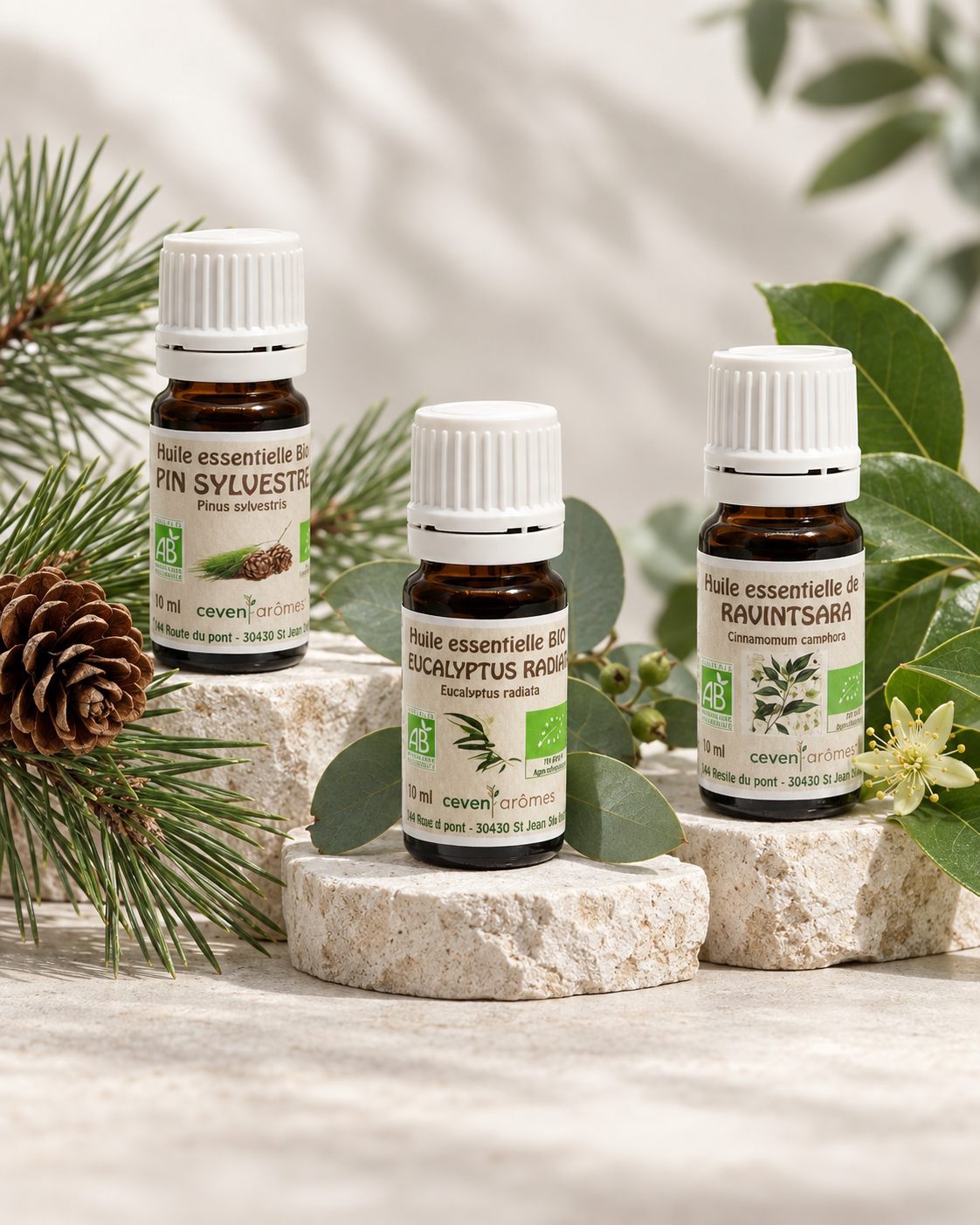 Bouclier de la Forêt – Pin Sylvestre, Eucalyptus Radiata et Ravintsara