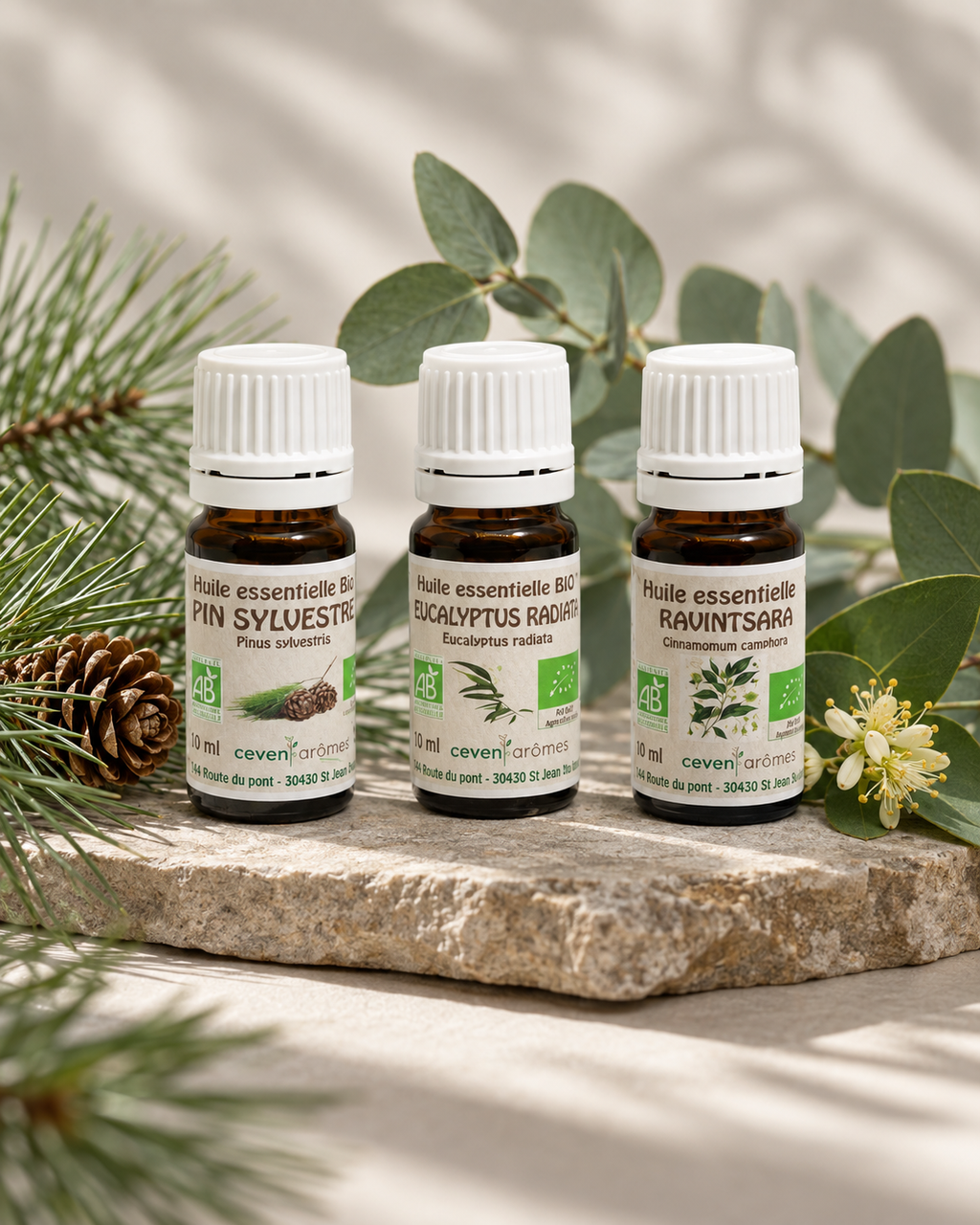 Bouclier de la Forêt – trio d’huiles essentielles bio