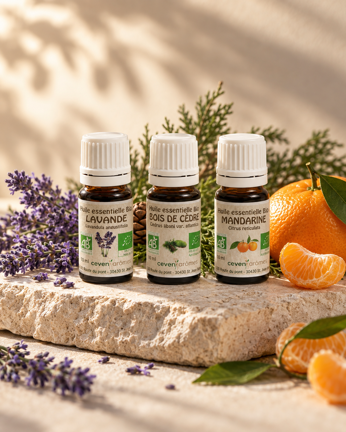 Rêves d’Équinoxe – rituel du soir